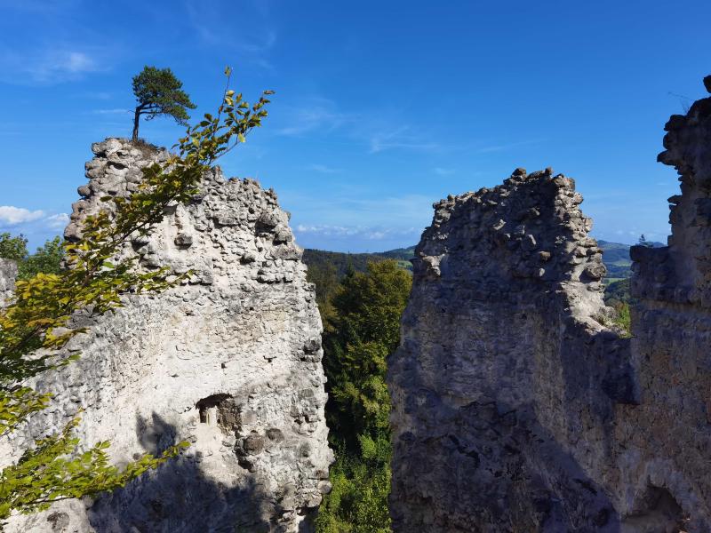 Castle view 1