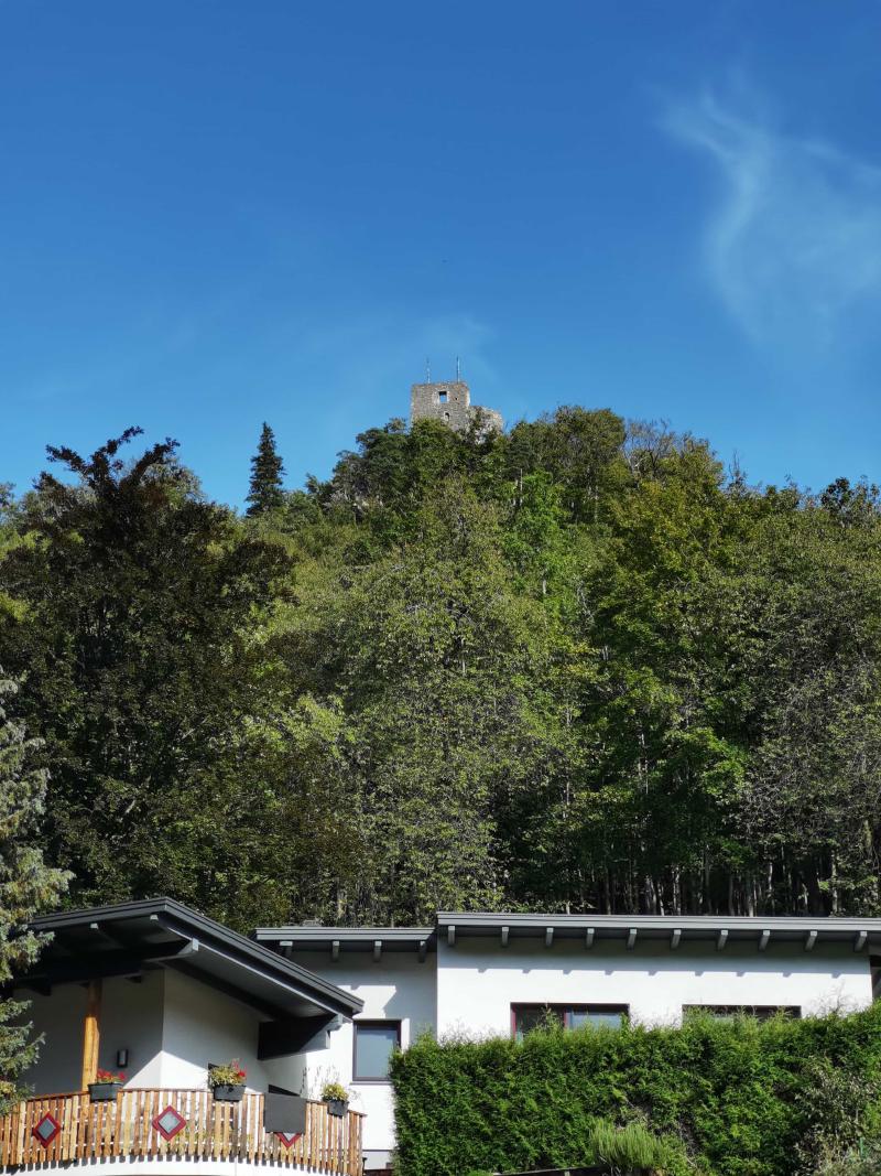 The castle